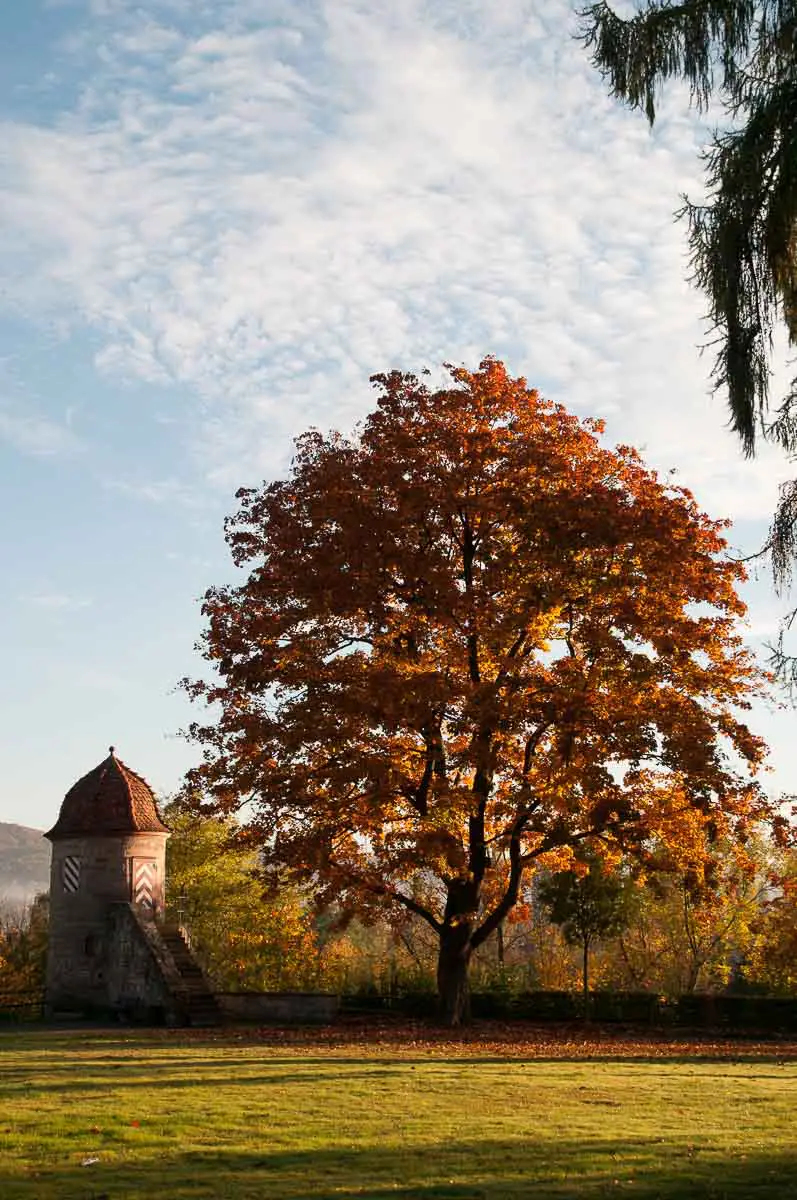 Eschwege-Umgebung-01